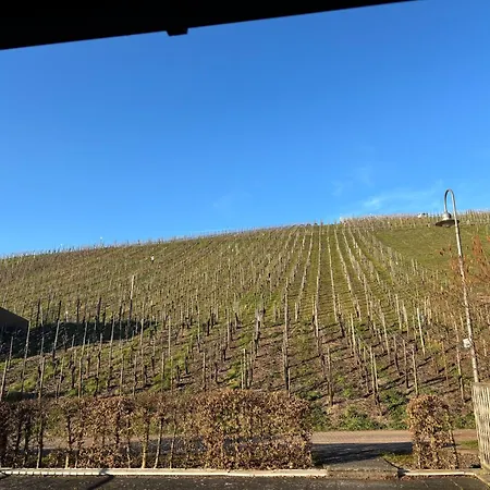 Weingut Immich-anker Enkirch