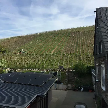 Weingut Immich-anker Nocleg ze śniadaniem