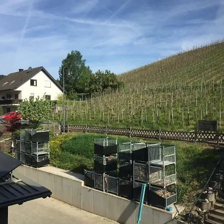 Nocleg ze śniadaniem Weingut Immich-anker