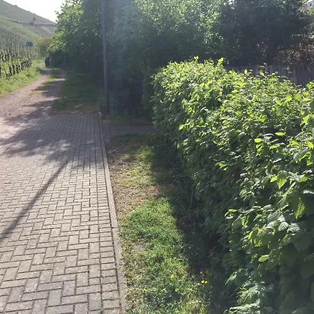 Weingut Immich-anker Enkirch
