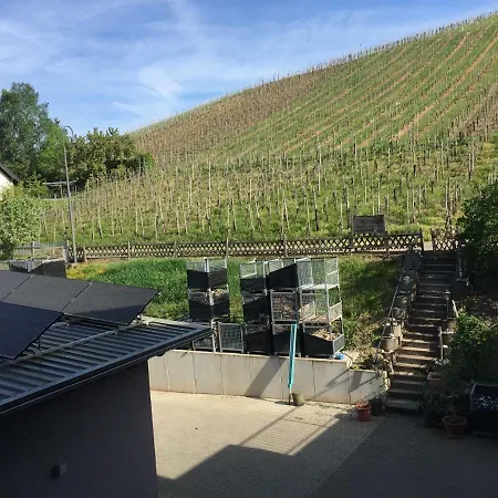 Weingut Immich-anker Nocleg ze śniadaniem *