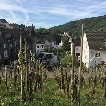 Weingut Immich-anker