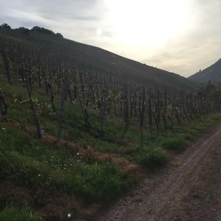 Weingut Immich-anker