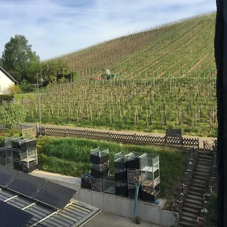 Weingut Immich-anker Nocleg ze śniadaniem