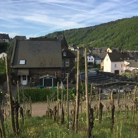 Weingut Immich-anker