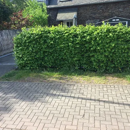 Bed & Breakfast Weingut Immich-anker