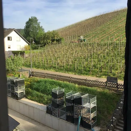 Nocleg ze śniadaniem Weingut Immich-anker Enkirch