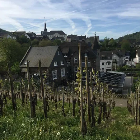 Weingut Immich-anker