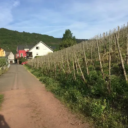 Nocleg ze śniadaniem Weingut Immich-anker Enkirch