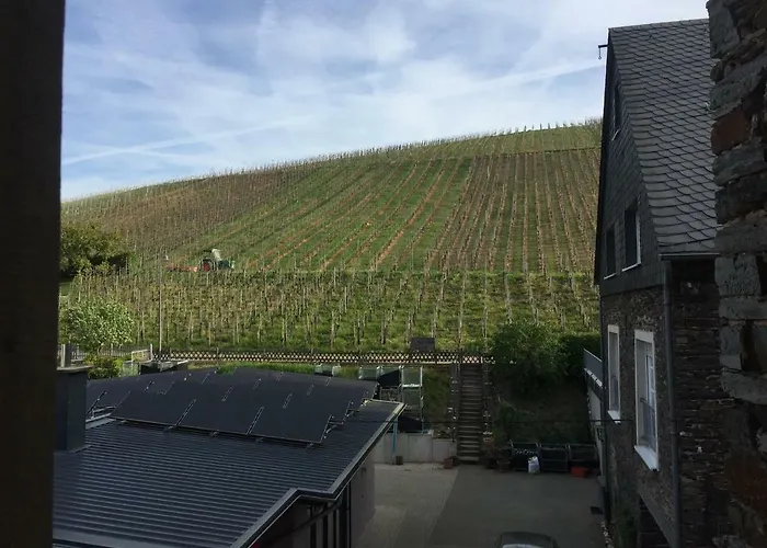 Weingut Immich-anker Bed & Breakfast