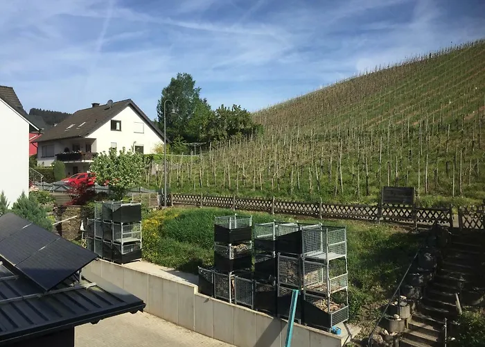 Bed & Breakfast Weingut Immich-anker