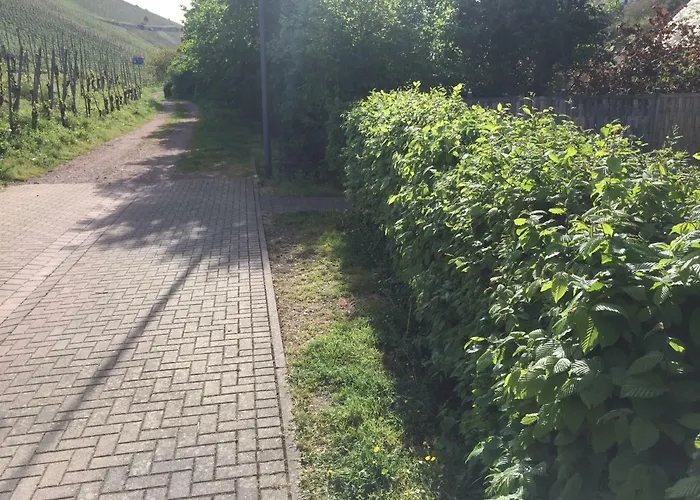 Weingut Immich-anker Enkirch