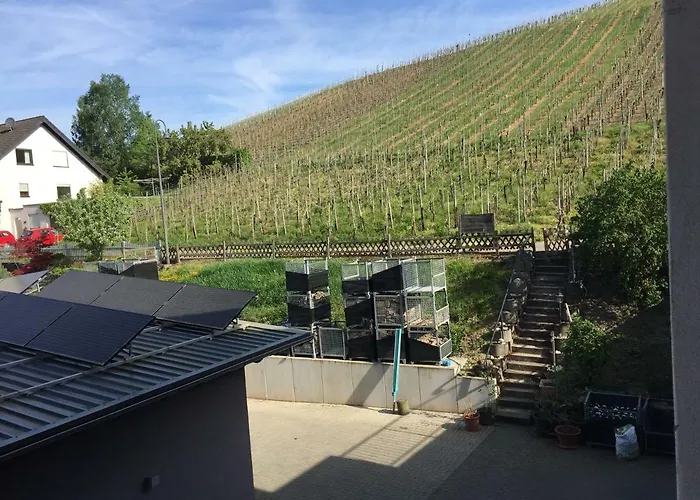 Weingut Immich-anker 公寓 *