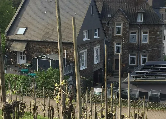 Weingut Immich-anker 公寓