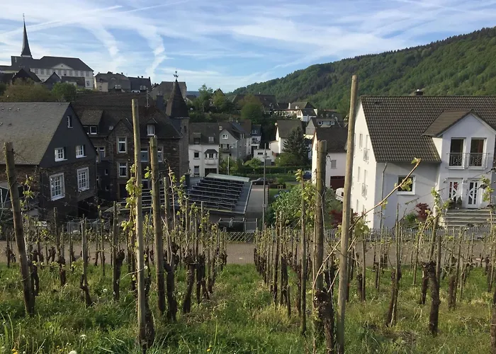 Weingut Immich-anker