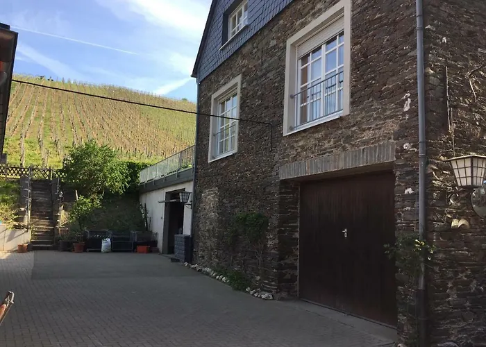 Weingut Immich-anker 公寓 *