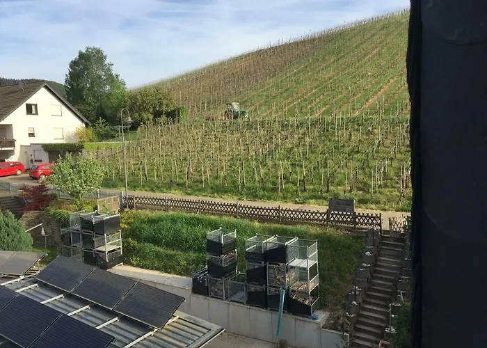 Weingut Immich-anker 公寓