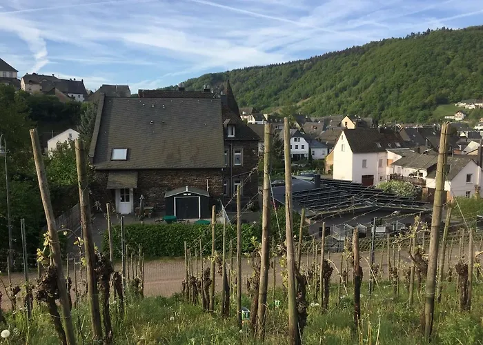 Weingut Immich-anker