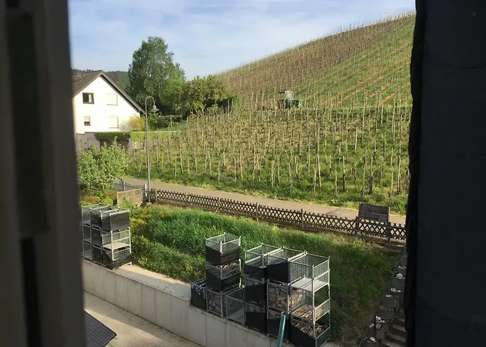 公寓 Weingut Immich-anker 恩克里克