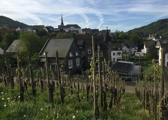 Weingut Immich-anker