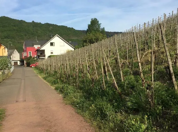 公寓 Weingut Immich-anker 恩克里克